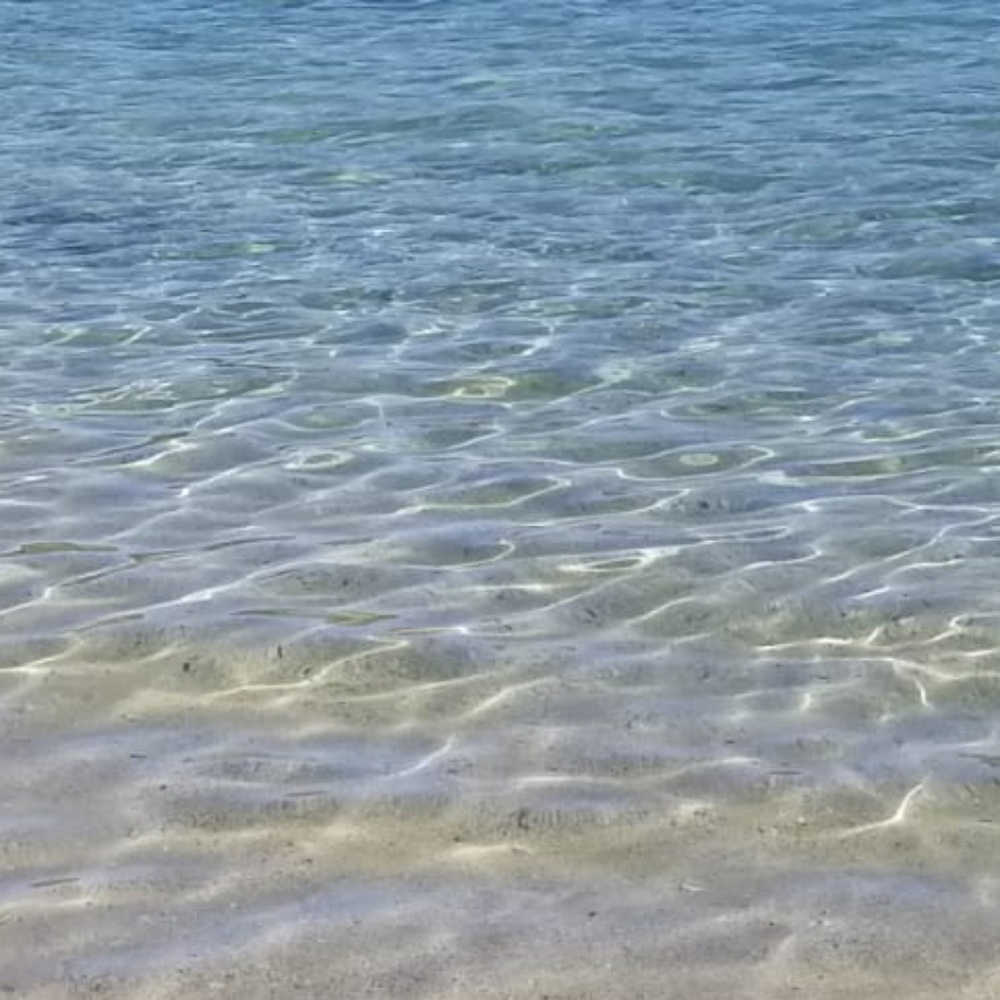 Meet your Posher, Scheherazade